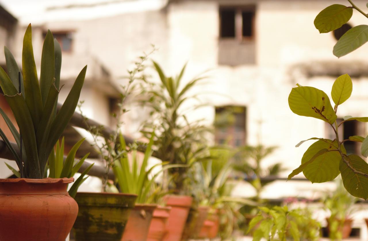 Hostel Milarepa Κατμαντού Εξωτερικό φωτογραφία